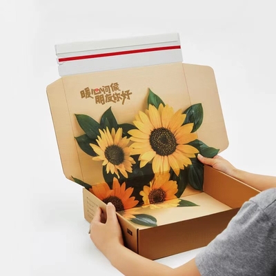 máquina de Gluer de la carpeta de la caja de papel de 250mm×250m m para la caja acanalada